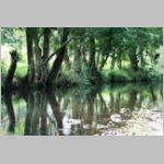creek09.jpg