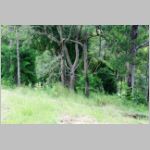 lot03_15.jpg