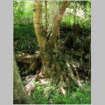 lot13_26.jpg