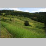 lot20_06.jpg