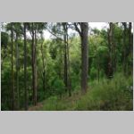 lot26_05.jpg