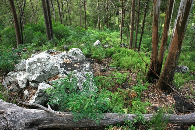 Lot 26