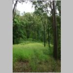 lot27_05.jpg