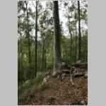 lot27_06.jpg
